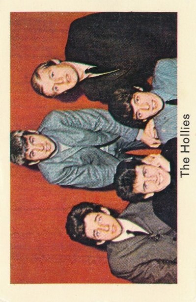 Hollies 1a3 - kopia